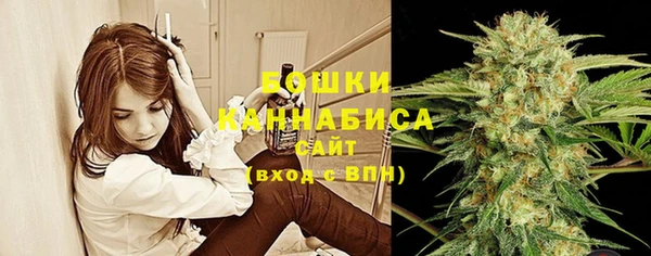 спайс Алексин