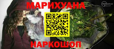 сатива Кунгур