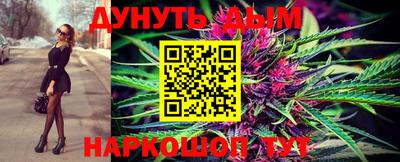 сатива Кунгур