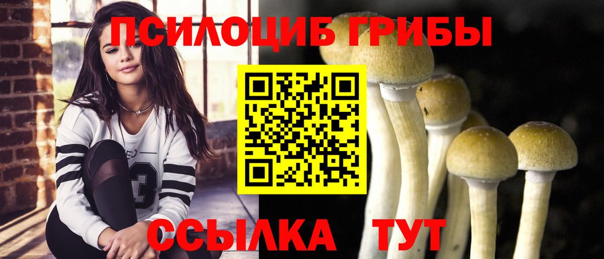 Галлюциногенные грибы Magic Shrooms  Вход с VPN  Каменск-Уральский  Псилоцибиновые грибы Cubensis 