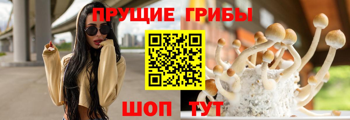 Галлюциногенные грибы мицелий Каменск-Уральский